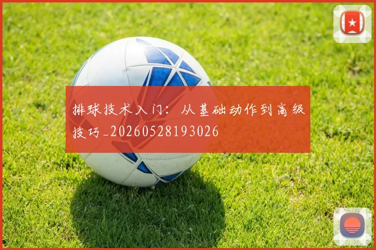 排球技术入门：从基础动作到高级技巧_20260528193026
