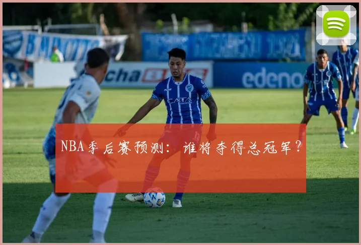 NBA季后赛预测：谁将夺得总冠军？